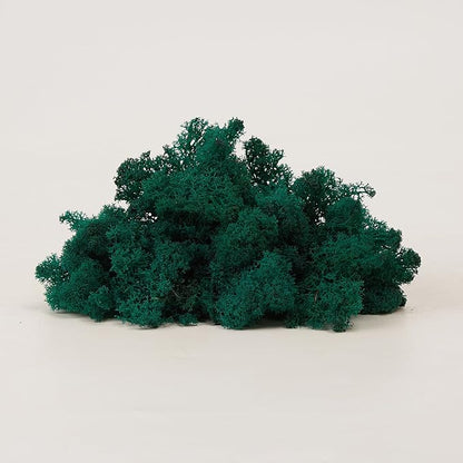 Preserved Reindeer Moss Natural Green DIY Kit Gardenning Art Wall Decor Florist - Image 8