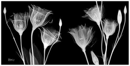 Empire Art Direct Frameless Free Floating Tempered Glass Panel Graphic Flower - Image 3