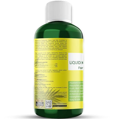 Organic Premium Seaweed Anthurium Fertilizer - Image 2