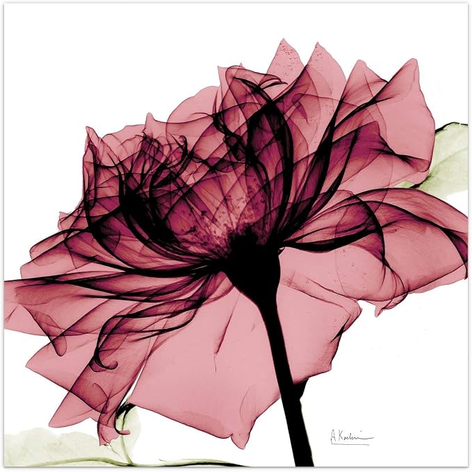 Empire Art Direct Frameless Free Floating Tempered Glass Panel Graphic Wall Art by EmpireArtDirect
