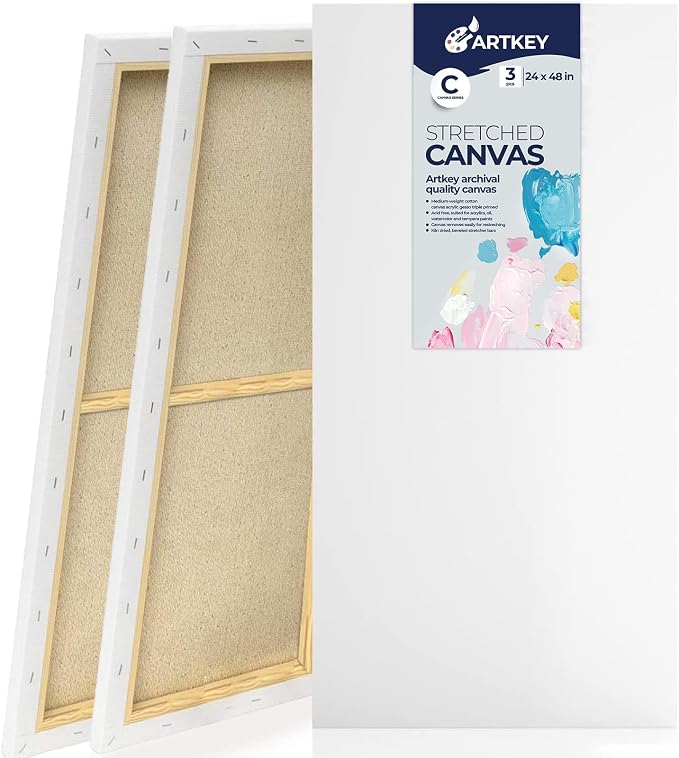 Large Canvas for Painting 24x48 Inch 3-Pack, 12.3 oz Triple Primed 100% Cotton by Artkey