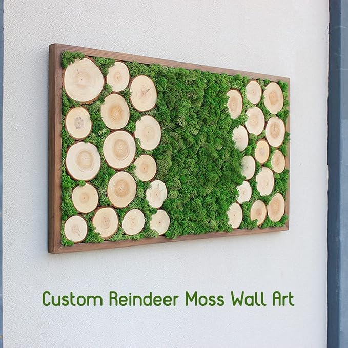 Preserved Reindeer Moss Natural Green DIY Kit Gardenning Art Wall Decor Florist - Image 7