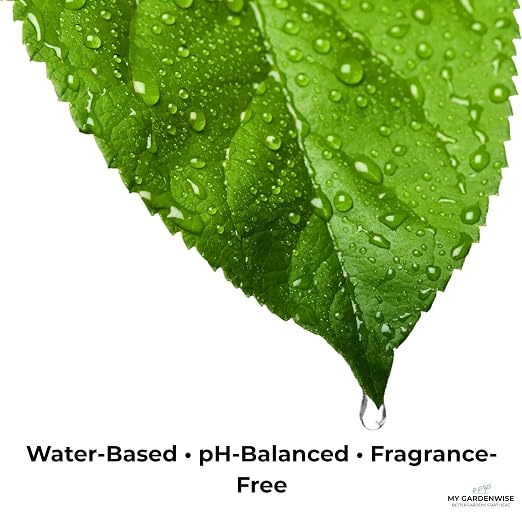 Leaf Shine Spray for Indoor Plants – Plant Leaf Cleaner & Shine for Real House - Image 3