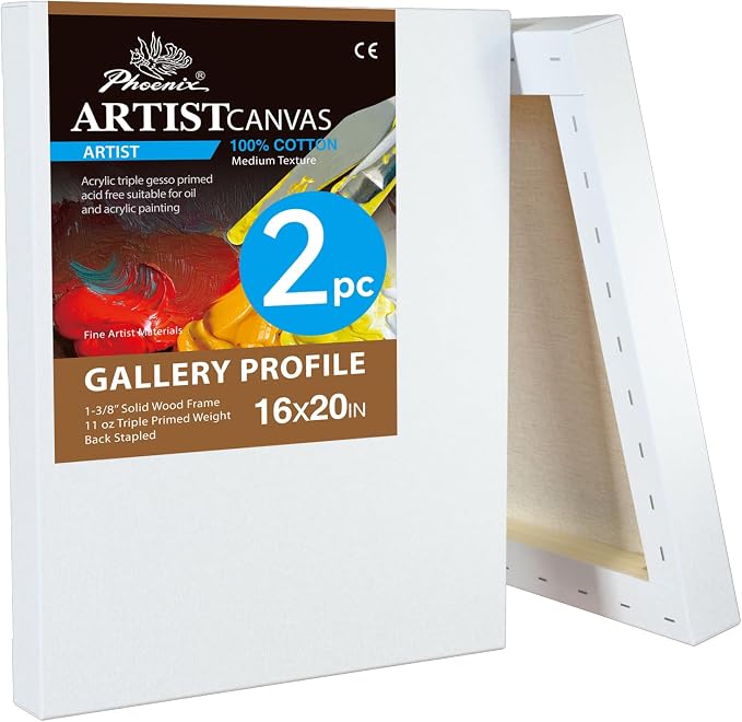PHOENIX 16x20 Inch 2 Pack Gallery Canvas by PHOENIX
