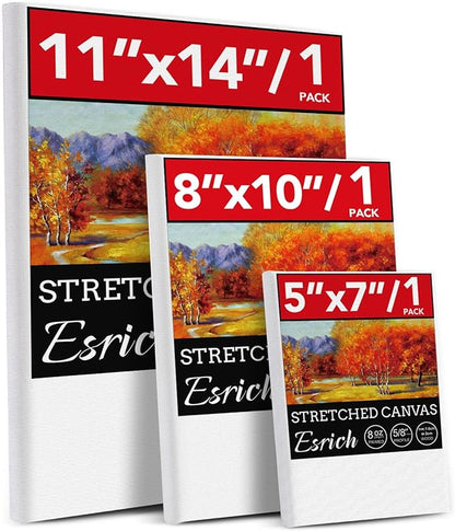3 Pack Canvases for Painting by ESRICH