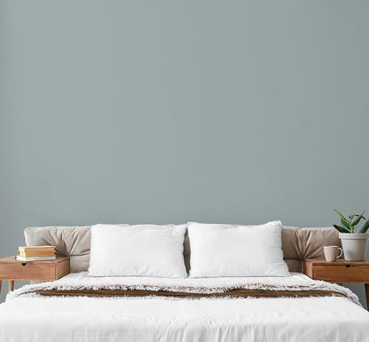 EVOLVE Paint & Primer: Environment-friendly, Low Sheen - Image 4