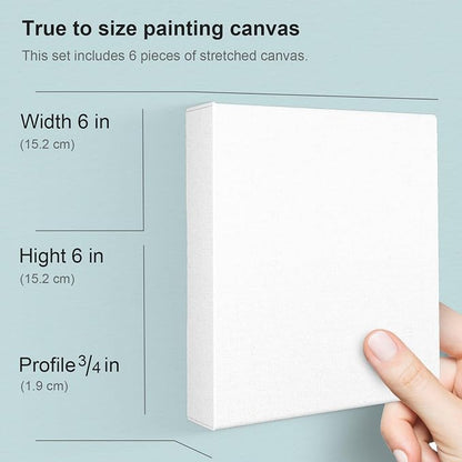 PHOENIX 6x6 Inch 6 Pack Artist Canvas - Image 2
