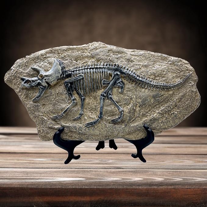 XINDAM Resin Triceratops Dinosaur Fossil Statue Model Simulated Skeleton Home - Image 2