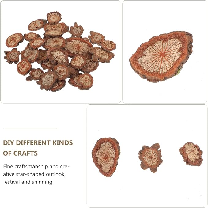 GALPADA Christmas Tree Bark Wood Slices Xmas Ornaments Mini Natural Vintage - Image 9