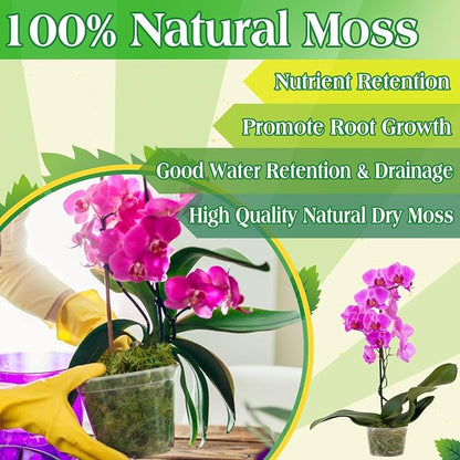 Halatool 6OZ Green Moss for Indoor Plants, 8QT Orchid Moss for Repotting - Image 5