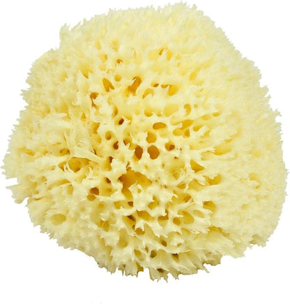 Neptune Natural Sea Wool Sponge by Unknown