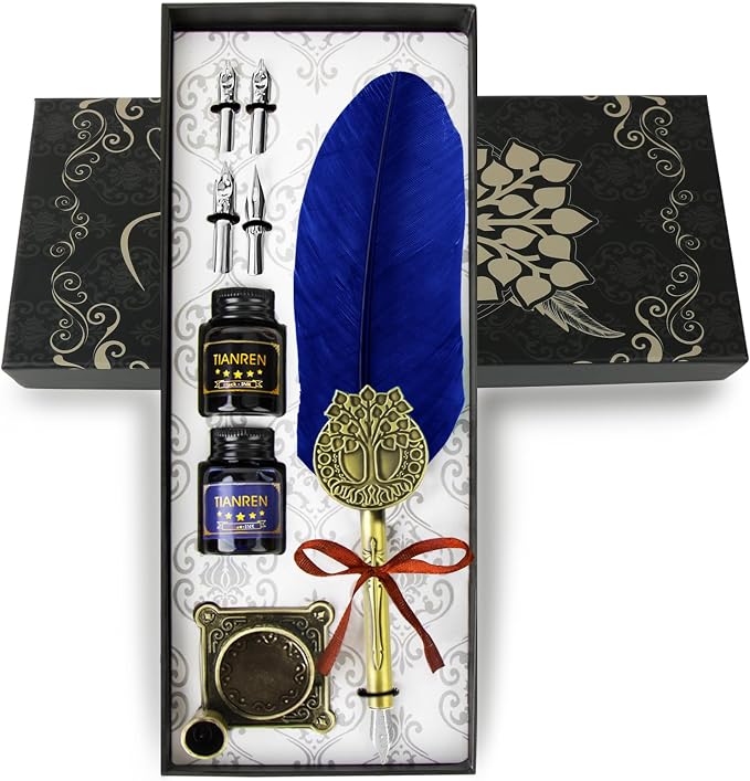 Quill pen ink set, Feather Pen and Ink Set, Antique Calligraphy Pen by TIANREN