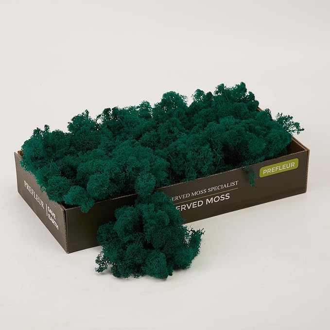 Preserved Reindeer Moss Natural Green DIY Kit Gardenning Art Wall Decor Florist by %E7%8E%B0%E5%9C%A8%E8%B4%AD%E4%B9%B0