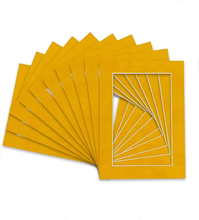 Pack of Ten Acid Free 8x10 Mats Bevel Cut by Poster+Palooza