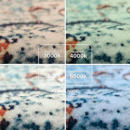 Lahome Bohemian Floral Medallion Runner Rug - Image 7