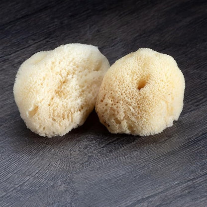 Sea Silk Sponge 2pc Kit, Hand Cut, Approx. 2-3 inches - Image 2