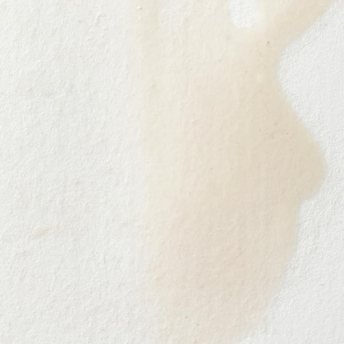 Winsor & Newton Professional Water Colour Paint, Half Pan, Chinese White - Image 2