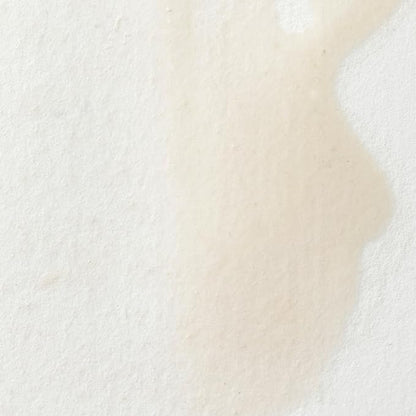 Winsor & Newton Professional Water Colour Paint, Half Pan, Chinese White - Image 2