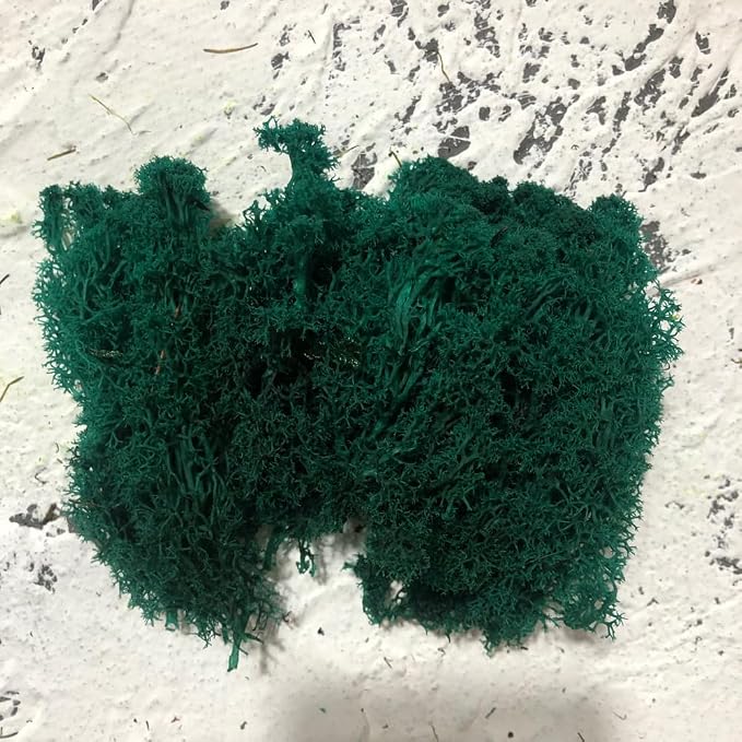 Preserved Reindeer Moss Natural Green DIY Kit Gardenning Art Wall Decor Florist - Image 4