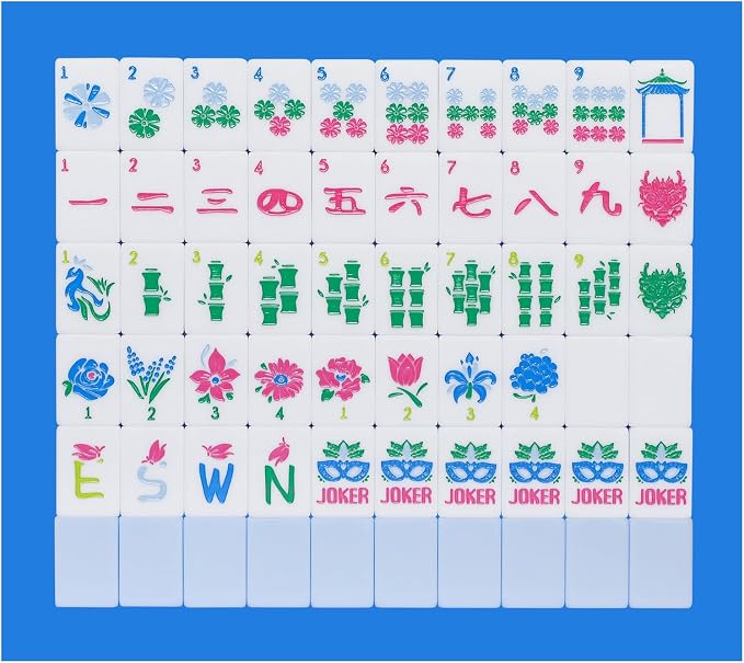American Mahjong Tile Set with Carrying Bag and Accessories, 160 Acrylic by HOME