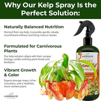 100% Organic Marina Mist Carnivorous Plant Food | Liquid Kelp Foliar Spray - Image 2