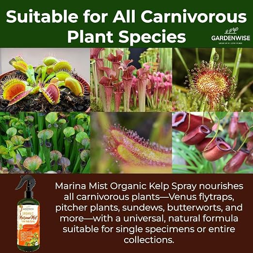 100% Organic Marina Mist Carnivorous Plant Food | Liquid Kelp Foliar Spray - Image 3