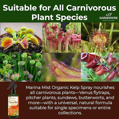 100% Organic Marina Mist Carnivorous Plant Food | Liquid Kelp Foliar Spray - Image 3