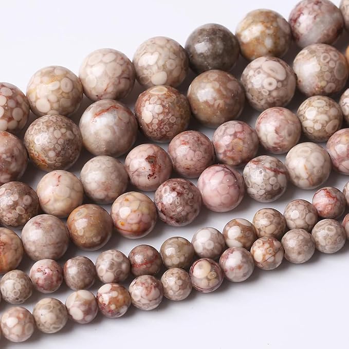 36PCS 10MM Natural Flowery Cowry Fossil Stone Beads Energy Healing Beads by JIANJING