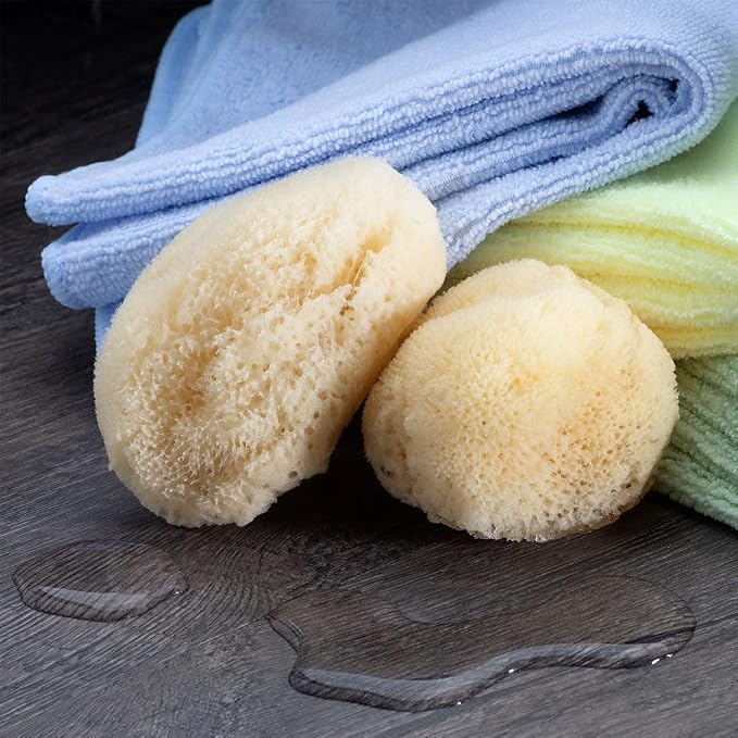 Sea Silk Sponge 2pc Kit, Hand Cut, Approx. 2-3 inches - Image 4