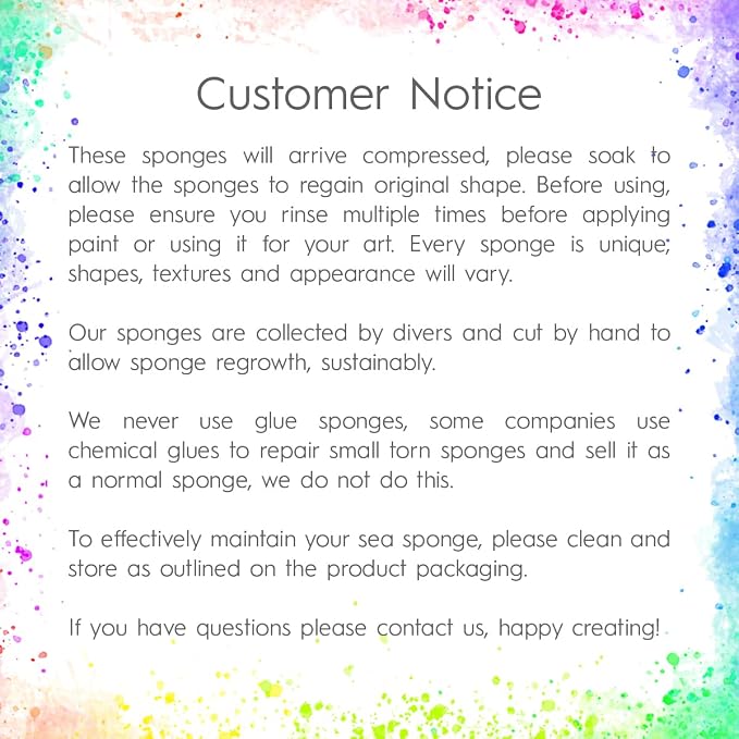 NAROA Artist Natural Sea Sponges - Image 7