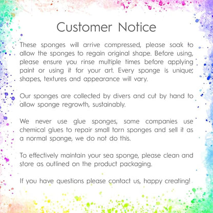 NAROA Artist Natural Sea Sponges - Image 7