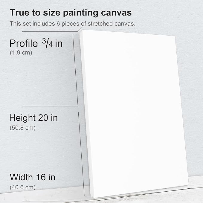 PHOENIX 16x20 Inch 6 Pack Artist Canvas - Image 2