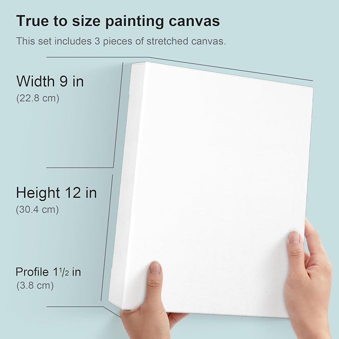 PHOENIX 9x12 Inch 3 Pack Gallery Canvas - Image 2