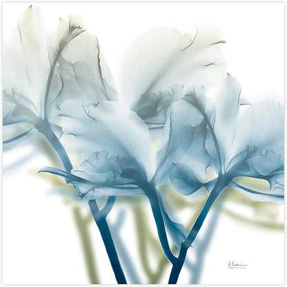 Empire Art Direct Frameless Free Floating Tempered Glass Panel Graphic Wall Art - Image 3