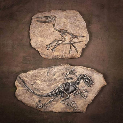 XINDAM Resin Dinosaur Fossil Statue Model Simulated Skeleton Home Office - Image 5