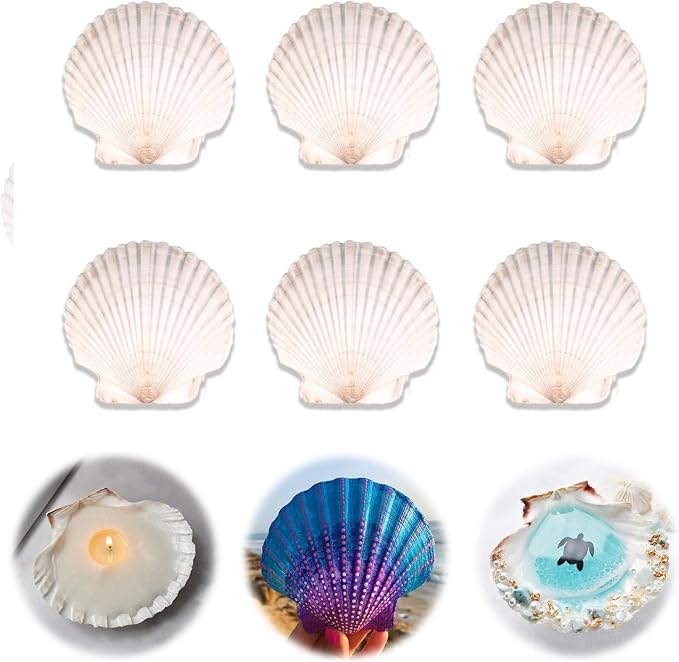 6PCS Scallop Shells for Crafts 4''-5'' Natural White Large Shells Decoration by YourRulesYourRevelry
