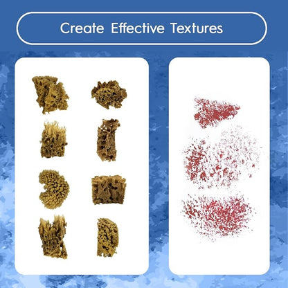 NAROA Artist Natural Sea Sponges - Image 4