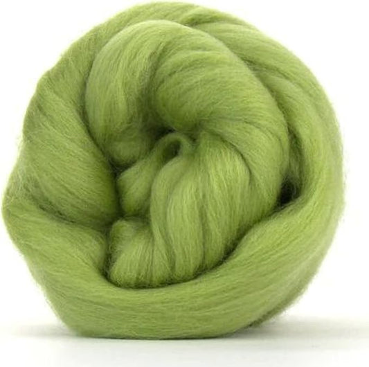 Revolution Fibers Merino Wool Combed Top | 1 lb Premium Wool Roving | 22 Micron by RevolutionFibers