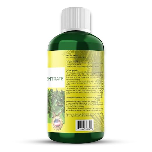 Organic Premium Kelp Seaweed Concentrate - Image 2