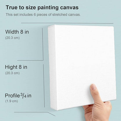 PHOENIX 8x8 Inch 6 Pack Artist Canvas - Image 2