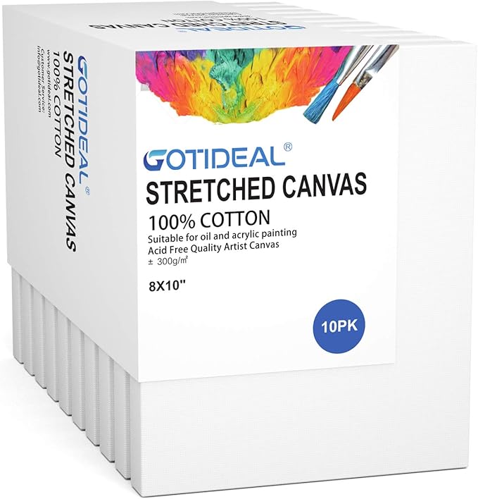 GOTIDEAL Stretched Canvas, 8x10 Inch Set of 10, Primed White by GOTIDEAL