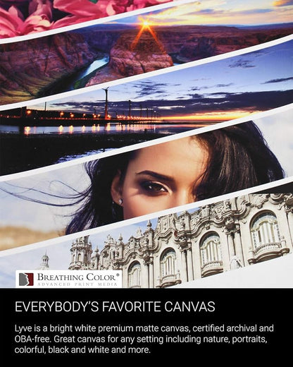 Premium Lyve Matte Canvas Paper Perfect - Image 6