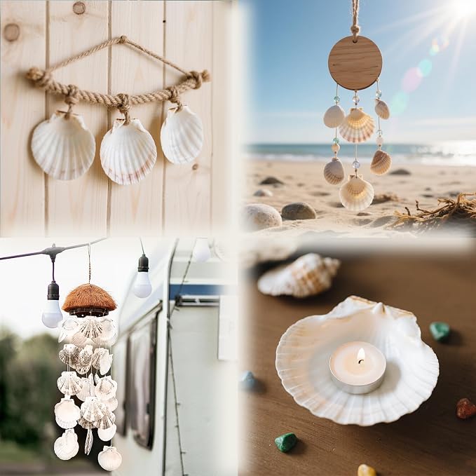 YOUKE OLA 72PCS Scallop Shells for Crafts Large Beach Natural Shells Bulk for - Image 7