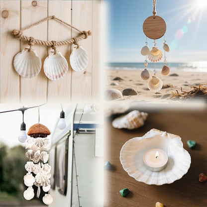 YOUKE OLA 72PCS Scallop Shells for Crafts Large Beach Natural Shells Bulk for - Image 7