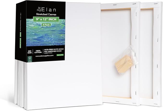 Elan Stretched Canvases 9x12 Inch, Triple Primed Stretched Canvas by Elan