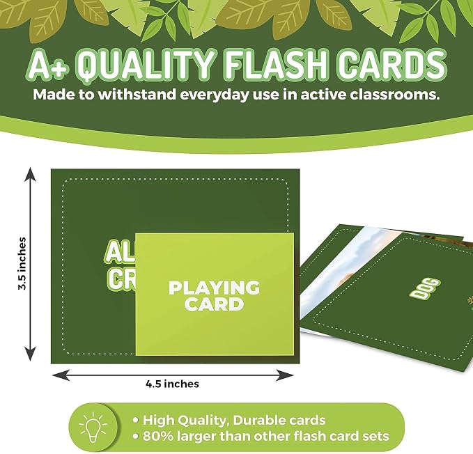 100 Animal, Insect & Ocean Creatures Flash Cards, Realistic Pictures - Image 2