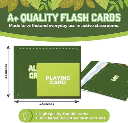 100 Animal, Insect & Ocean Creatures Flash Cards, Realistic Pictures - Image 2