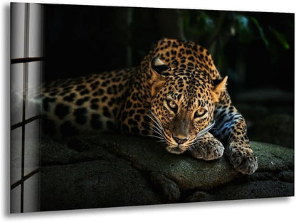 My Photostation.com 20Wx14H'' Fierce Leopard Glass Wall ArtTempered Glass by MyPhotostation