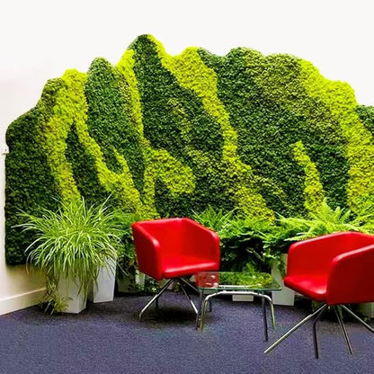 Preserved Reindeer Moss Natural Green DIY Kit Gardenning Art Wall Decor Florist - Image 5