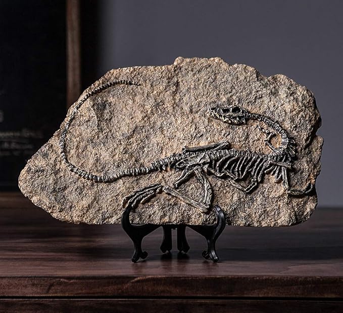 XINDAM Resin Dinosaur Fossil Statue Model Simulated Skeleton Home Office - Image 3